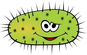 What we think bacteria looks like What we think bacteria looks like